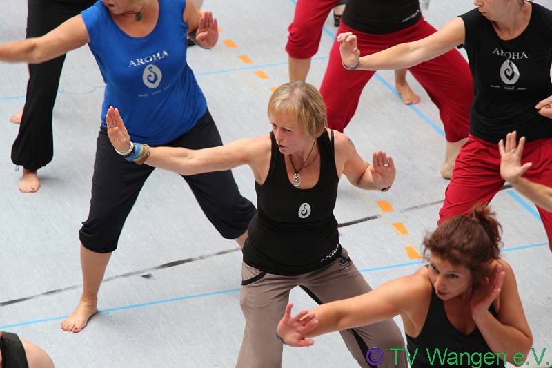 IMG_3195_(800_x_600)